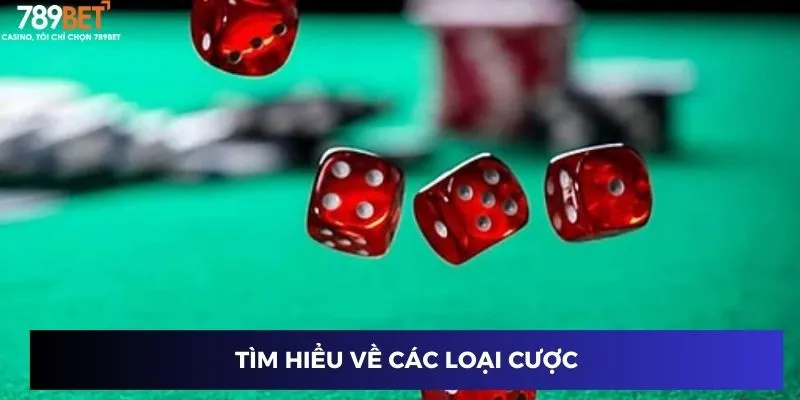 Tìm hiểu về các loại cược