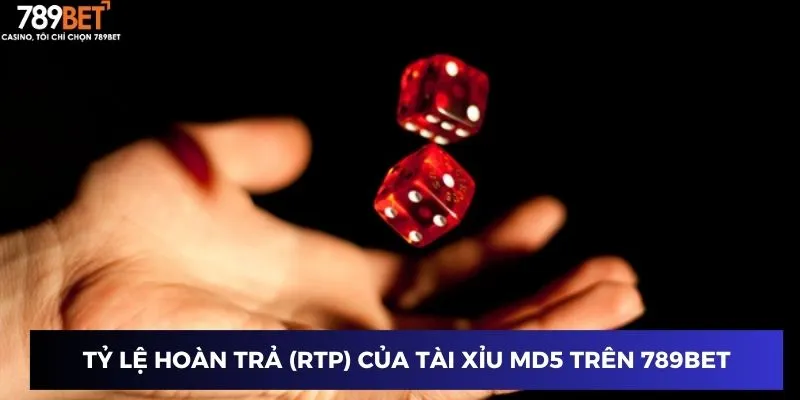 Tỷ lệ hoàn trả (RTP) của Tài Xỉu MD5 trên 789BET