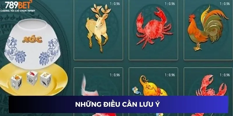 Những điều cần lưu ý 