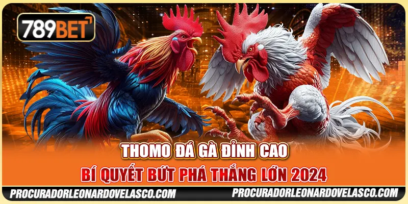 Cách Chơi Đá Gà Thomo Đỉnh Cao - Bí Quyết Bứt Phá Thắng Lớn 2024