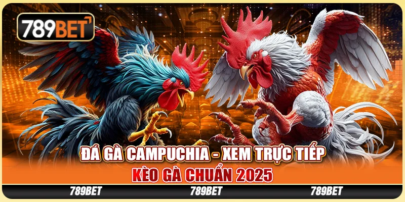 Đá Gà Campuchia 789BET - Xem Trực Tiếp Kèo Gà Chuẩn Tre 2025