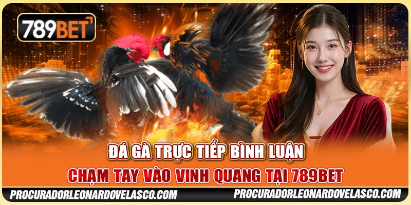 Đá Gà Trực Tiếp Bình Luận - Chạm Tay Vào Vinh Quang 789BET