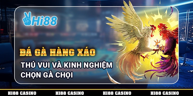 Đá Gà Hàng Xáo - Thú Vui Và Kinh Nghiệm Chọn Gà Chọi