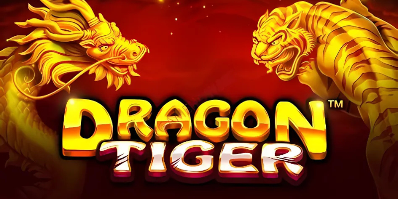 Khám phá rồng hổ tại nhà cái