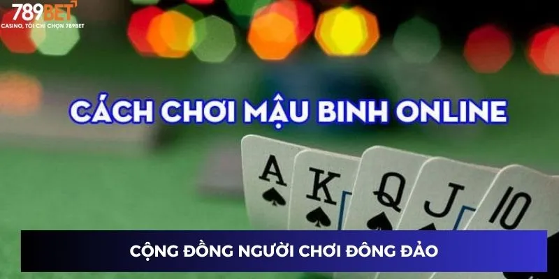 Cộng đồng người chơi đông đảo