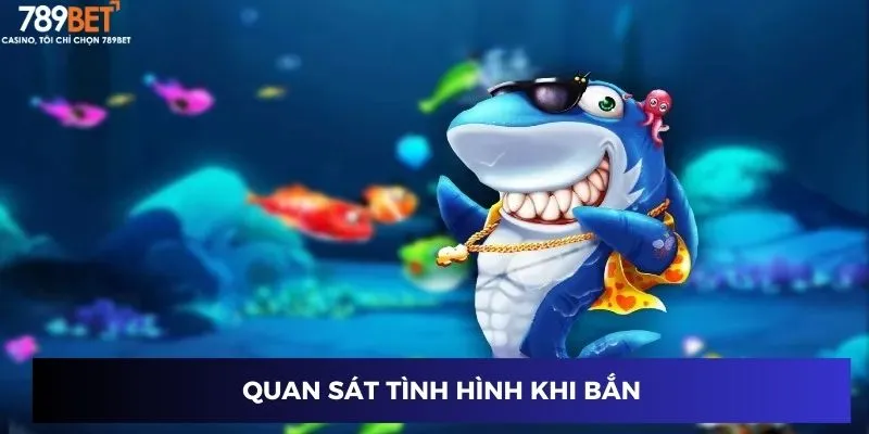 Quan sát tình hình khi bắn