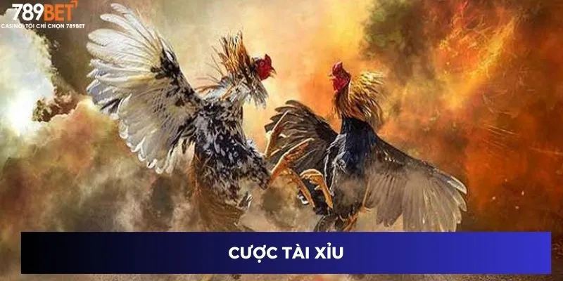 Cược tài xỉu