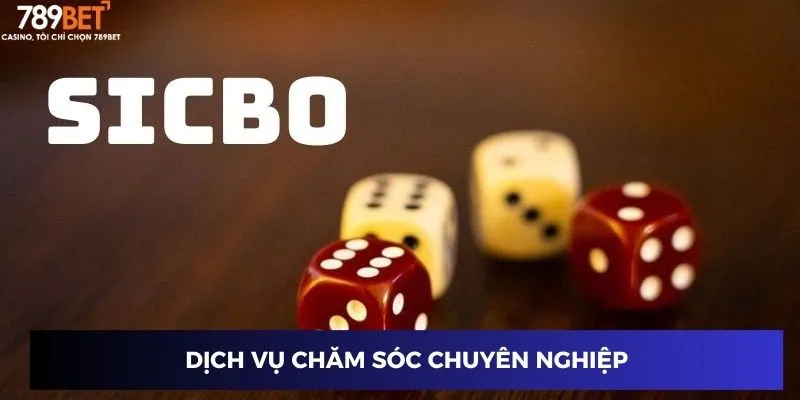 Dịch vụ chăm sóc chuyên nghiệp