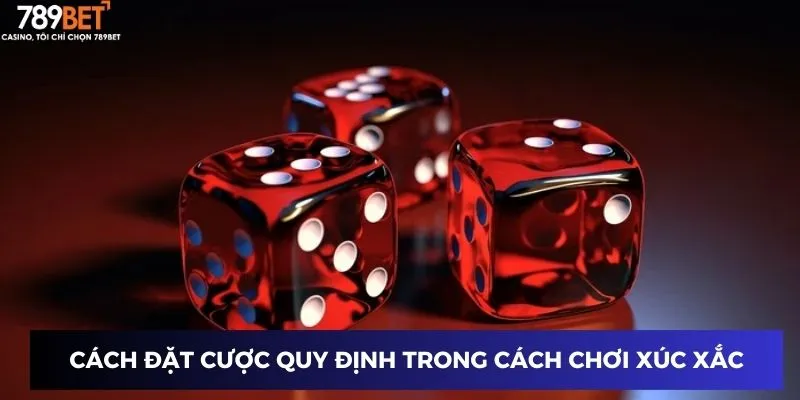 Cách đặt cược quy định trong cách chơi xúc xắc