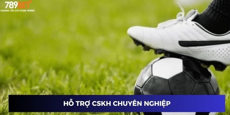 Hỗ trợ CSKH chuyên nghiệp