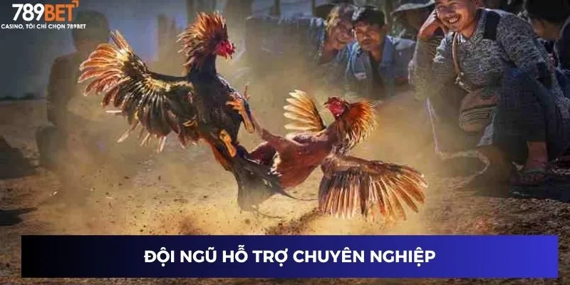Đội ngũ hỗ trợ chuyên nghiệp