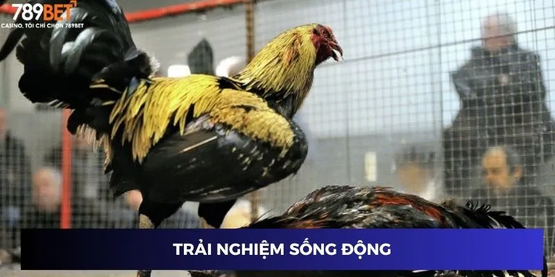 Trải nghiệm sống động