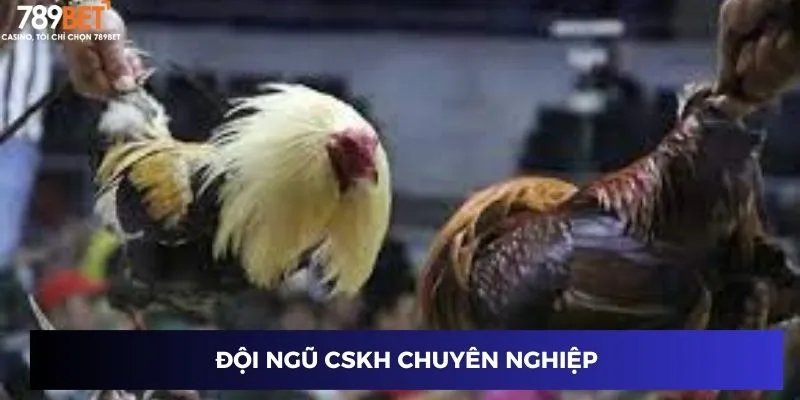 Đội ngũ CSKH chuyên nghiệp