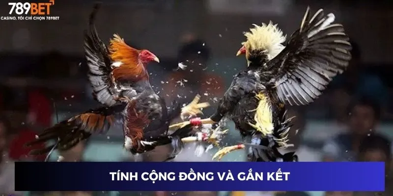Tính cộng đồng và gắn kết