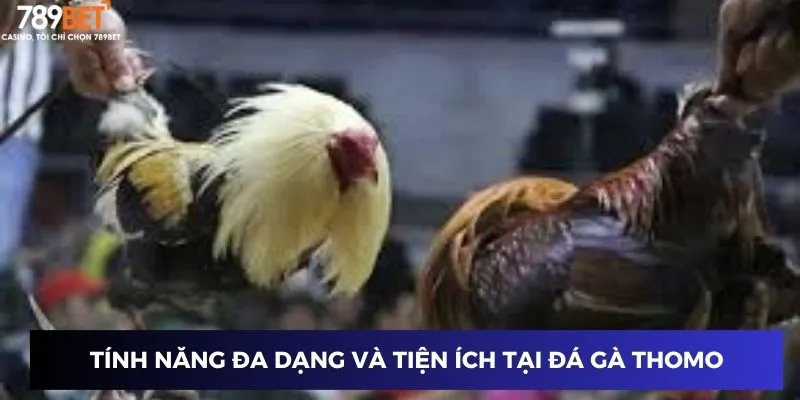 Tính năng đa dạng và tiện ích tại đá gà thomo hôm nay