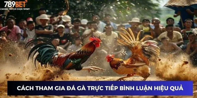 Cách tham gia đá gà trực tiếp bình luận hiệu quả