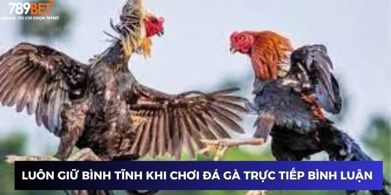 Luôn giữ bình tĩnh khi chơi đá gà trực tiếp bình luận  