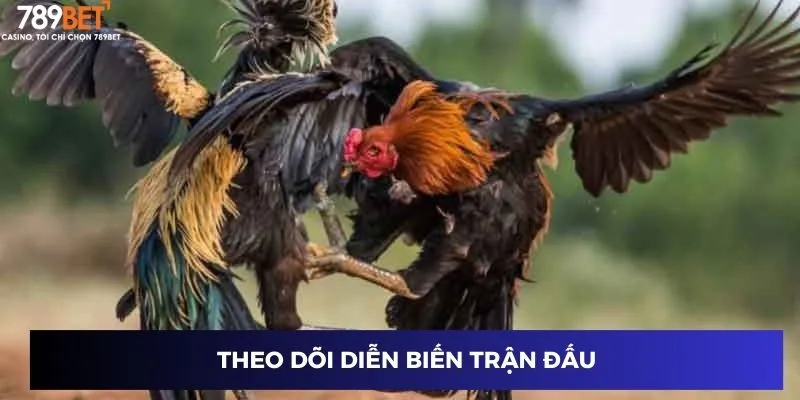 Theo dõi diễn biến trận đấu