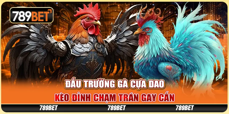 Đấu Trường Gà Cựa Dao