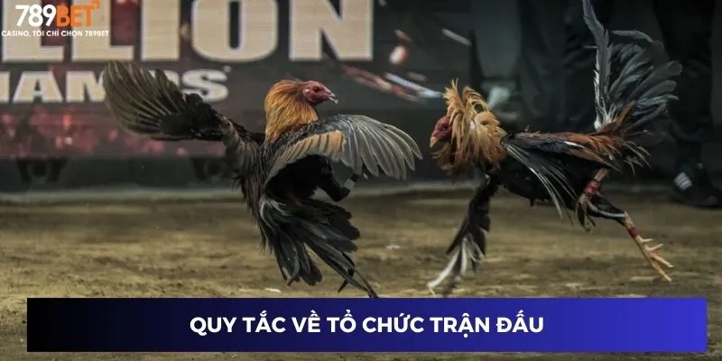 Quy tắc về tổ chức trận đấu