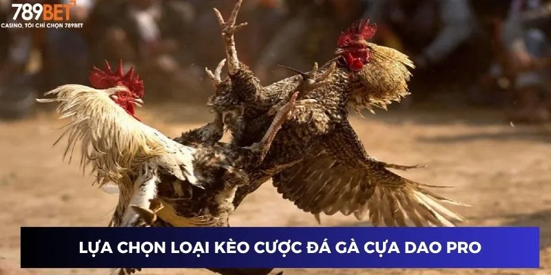 Lựa chọn loại kèo cược đá gà Cựa Dao Pro