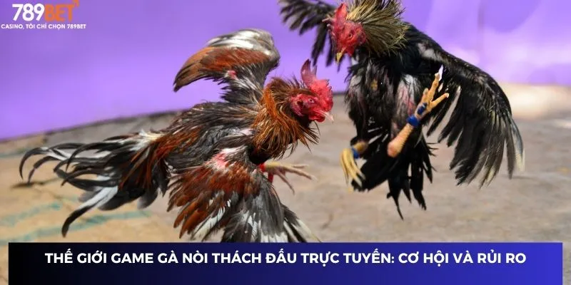 Thế giới game gà nòi thách đấu trực tuyến: Cơ hội và rủi ro