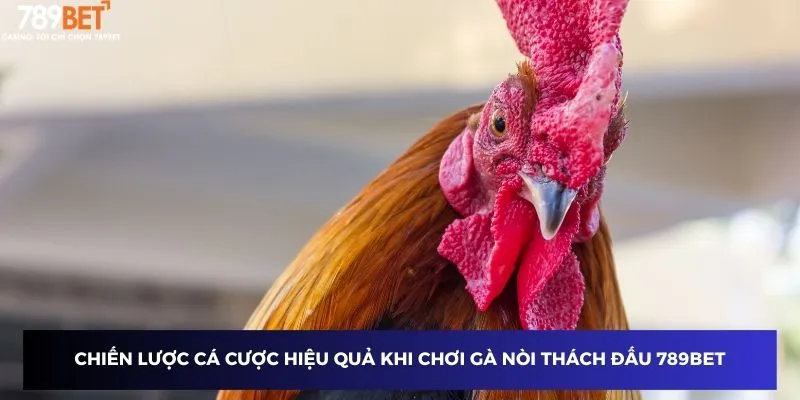 Chiến lược cá cược hiệu quả khi chơi Gà nòi thách đấu 789BET