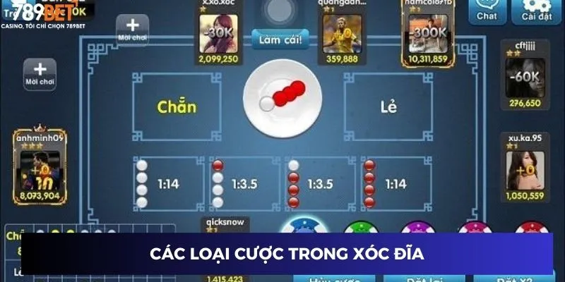 Các loại cược trong xóc đĩa