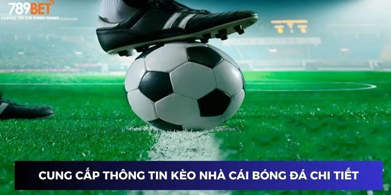 Cung cấp thông tin kèo nhà cái bóng đá chi tiết