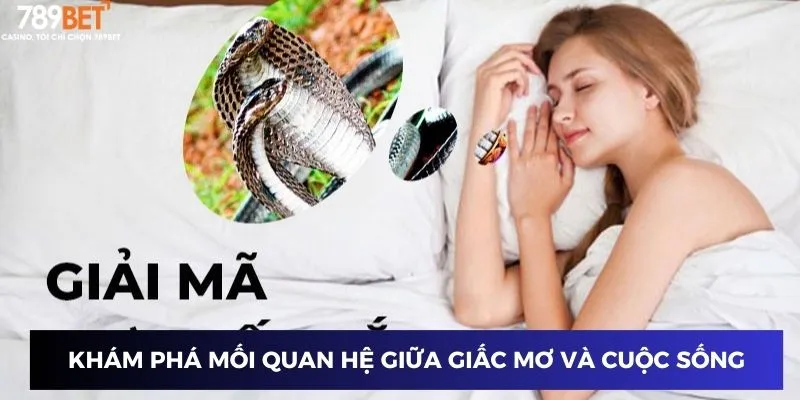Khám phá mối quan hệ giữa giấc mơ và cuộc sống hàng ngày
