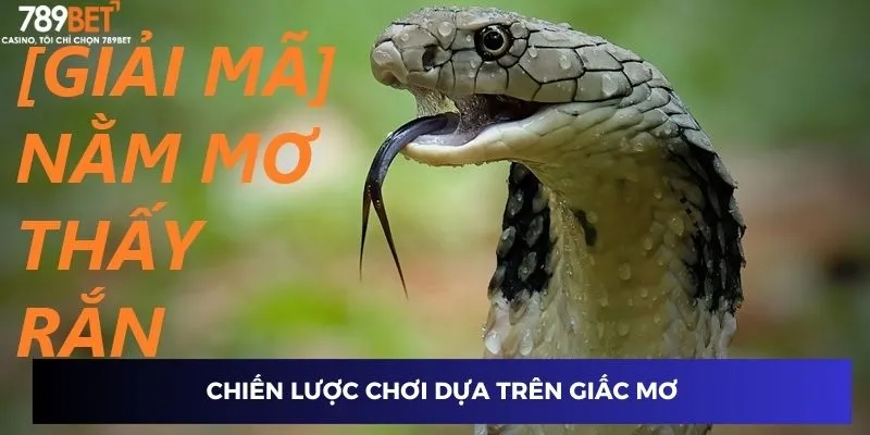 Chiến lược chơi dựa trên giấc mơ