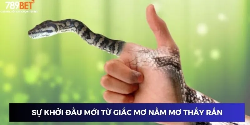 Sự khởi đầu mới từ giấc mơ nằm mơ thấy rắn