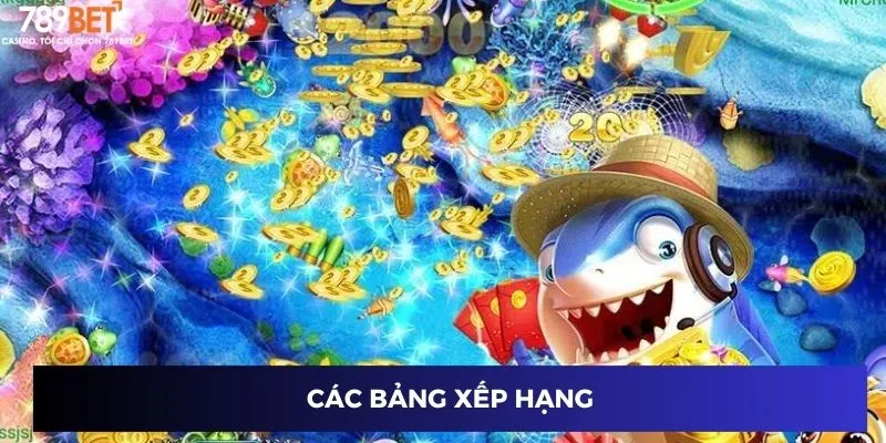 Các bảng xếp hạng