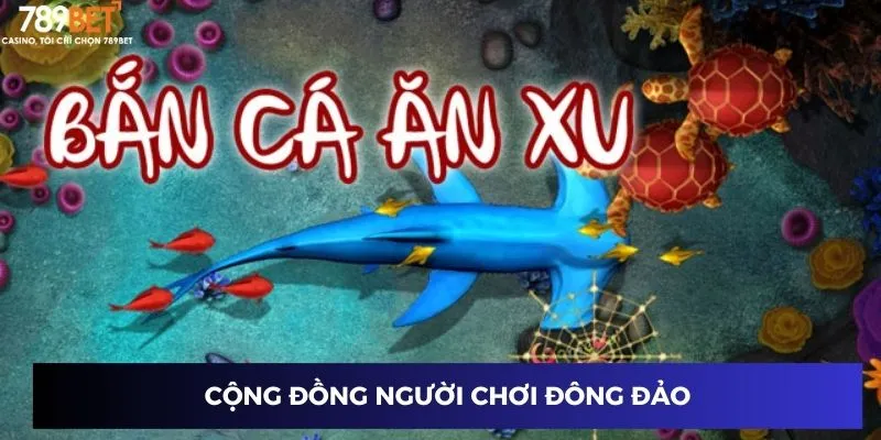 Cộng đồng người chơi đông đảo