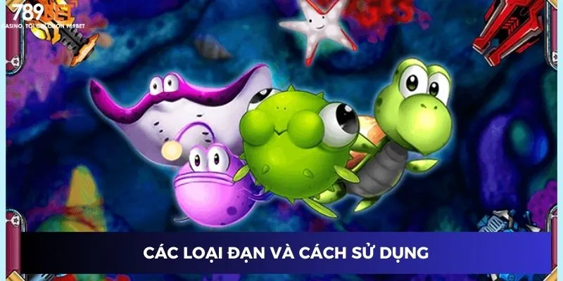 Các loại đạn và cách sử dụng