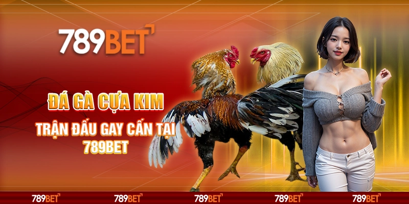 Cược Đá Gà Cựa Kim - Trận Đấu Gay Cấn Tại Nhà Cái 789bet