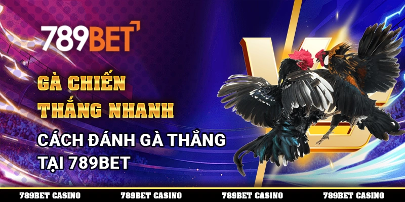 Gà Chiến Thắng Nhanh – Cách Đánh Gà Thắng Tại 789bet