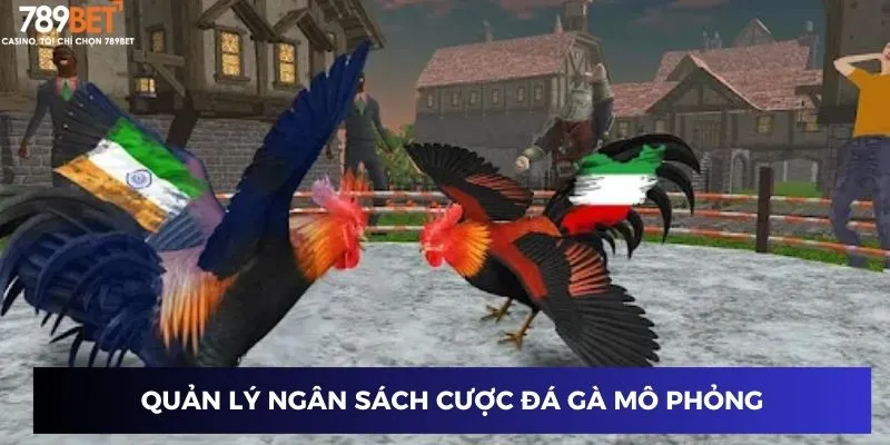 Quản lý ngân sách cược đá gà mô phỏng