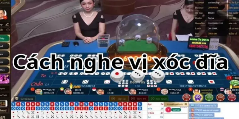 Cấu tạo bộ xóc đĩa ảnh hưởng thế nào đến âm thanh?