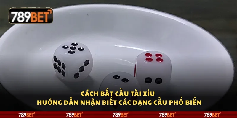 Cách bắt cầu tài xỉu – Hướng dẫn nhận biết các dạng cầu phổ biến