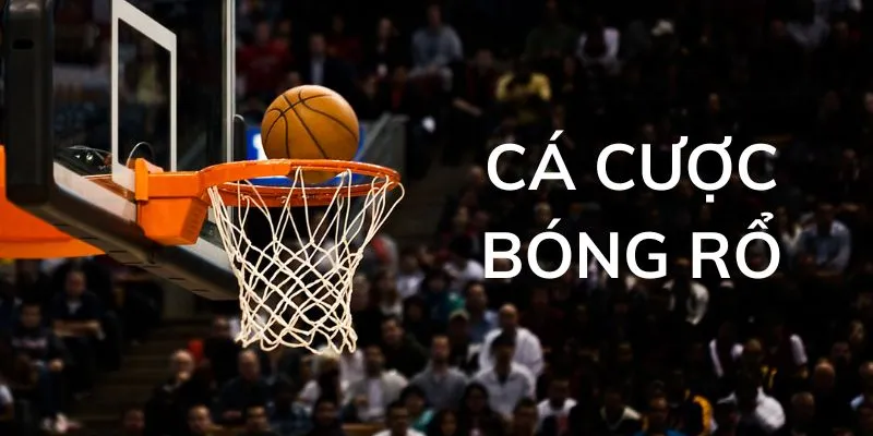 Cái nhìn tổng thể về cược bóng rổ