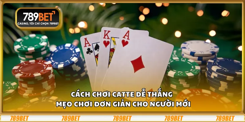 Cách chơi Catte dễ thắng – Mẹo chơi đơn giản cho người mới