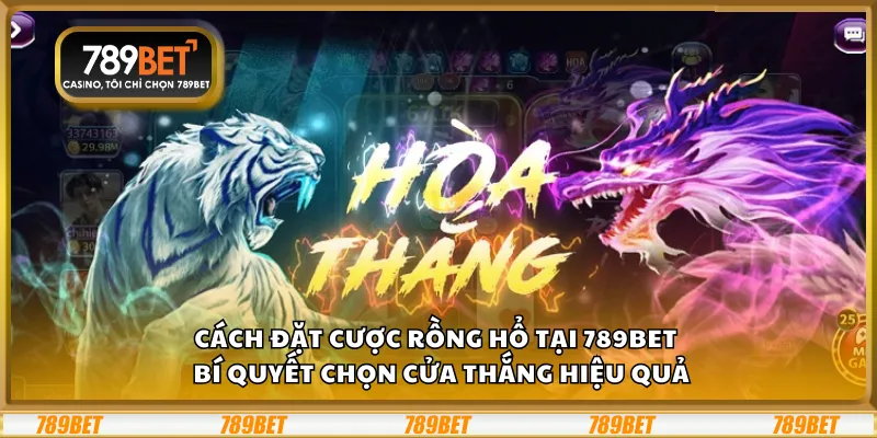 Cách đặt cược Rồng Hổ tại 789Bet – Bí quyết chọn cửa thắng hiệu quả